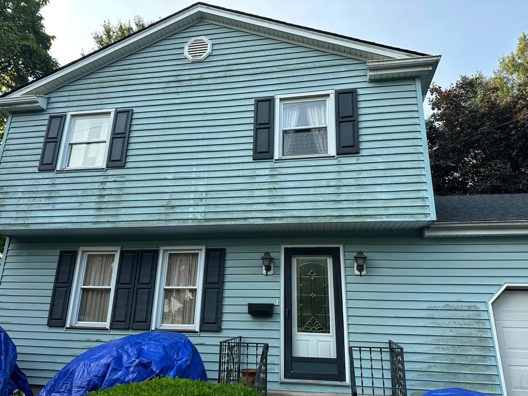 Two-story home with green algae haze across its siding, before soft washing