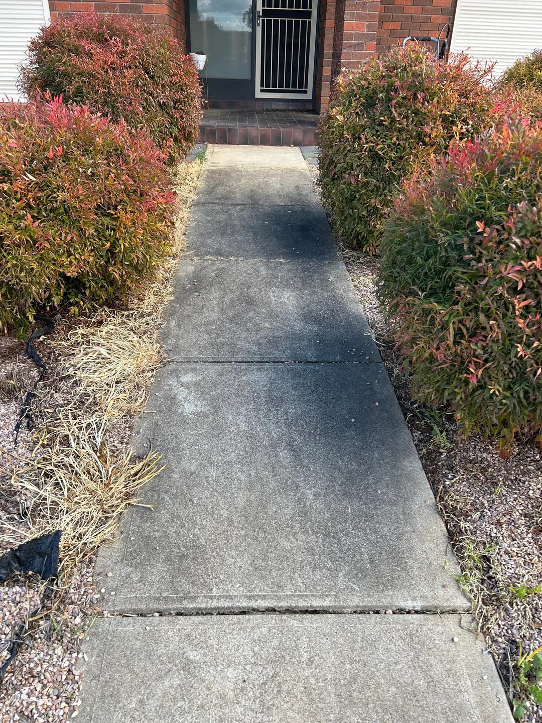 Concrete sidewalk dark with embedded grime, before pressure washing