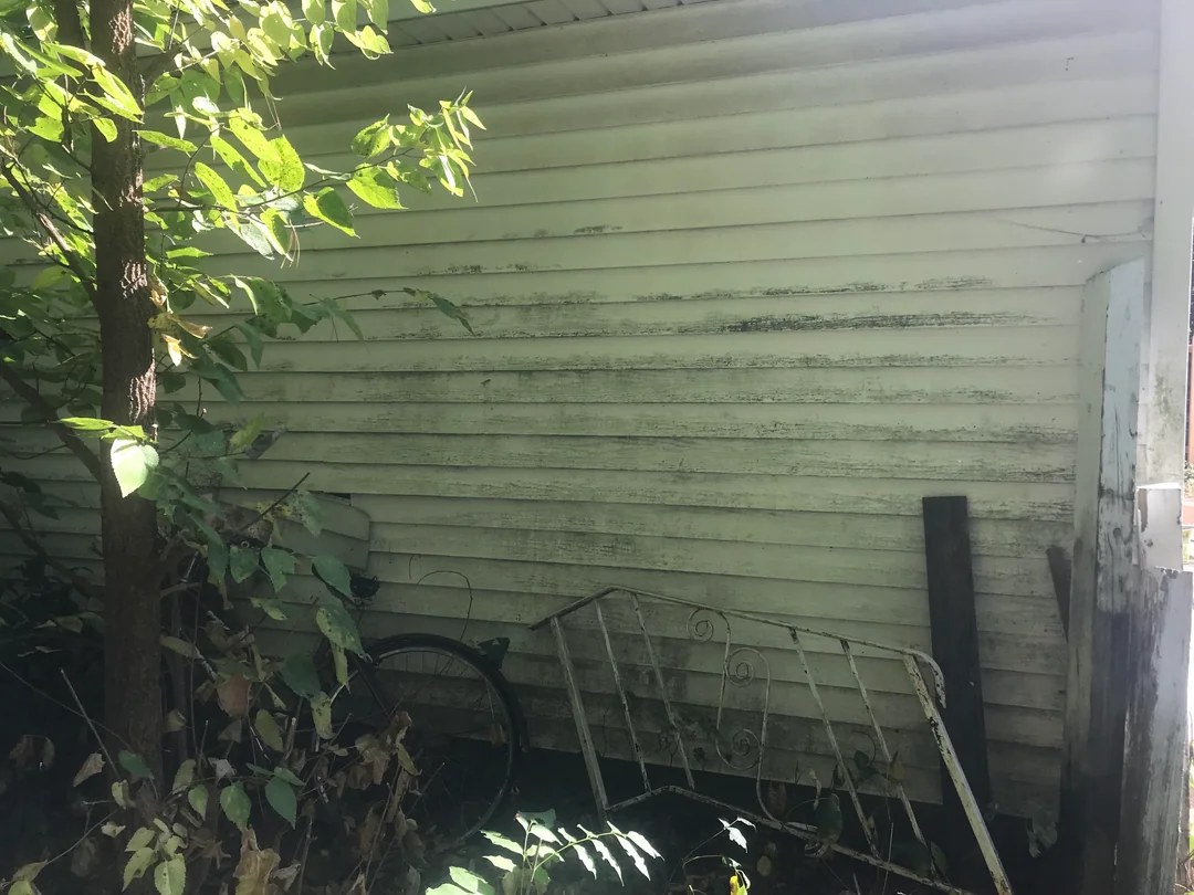 Vinyl siding dulled by algae and mildew streaks, before soft washing