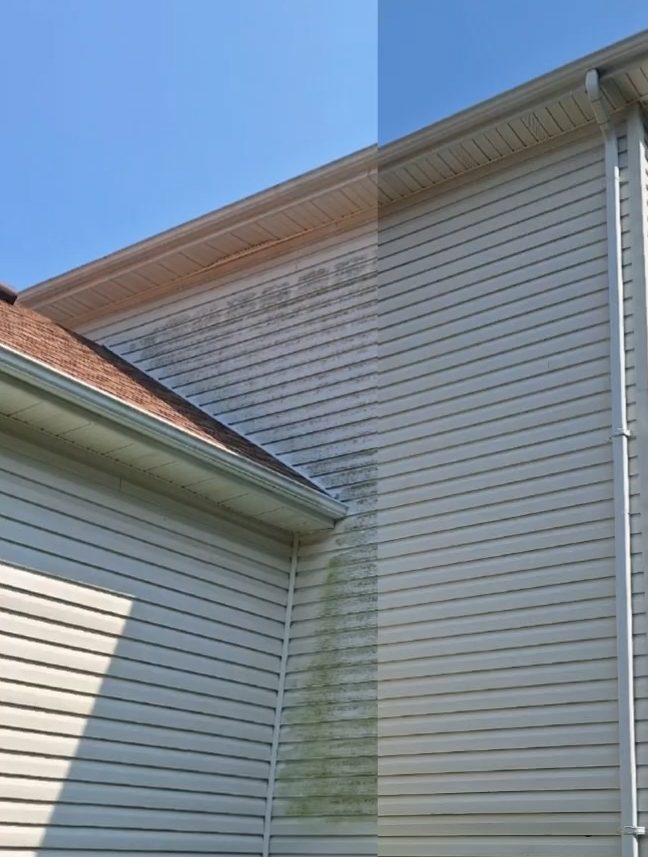 Two-story siding photographed mid-wash: green mildew haze on the left, clean bright siding on the right