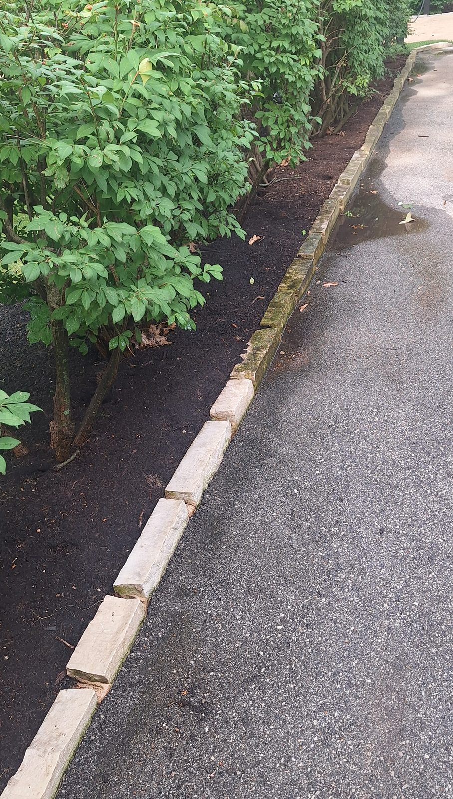 Commercial parking lot with clean, evenly washed pavement